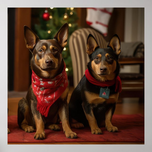 Póster Kelpie australiano por los Navidades de la chimene (Frente)