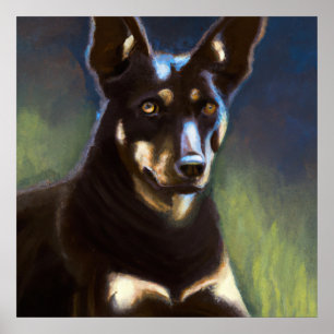 Póster Kelpie australiano - Retrato de perro