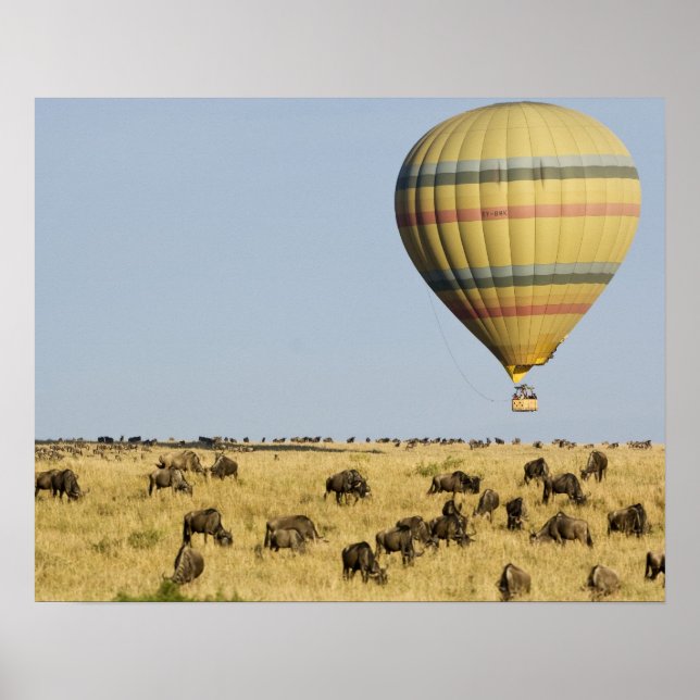 Póster Kenia, Masai Mara. Turistas en globo aerostático (Frente)