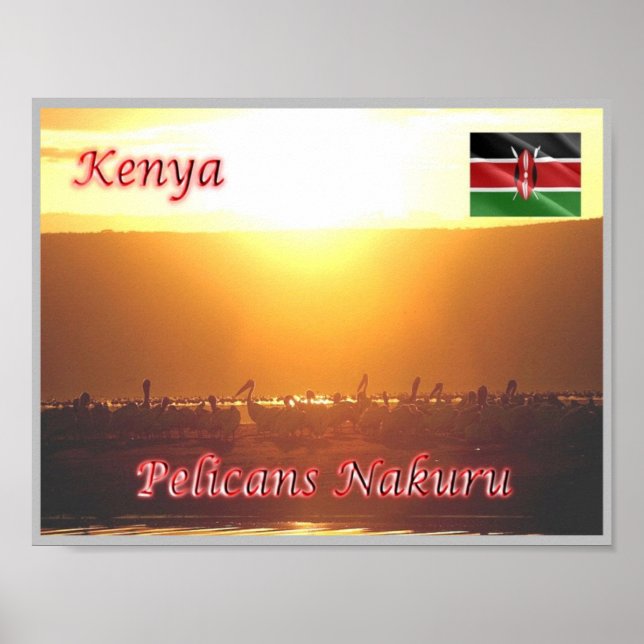 Póster Kenia - Pelicans Nakuru - (Frente)