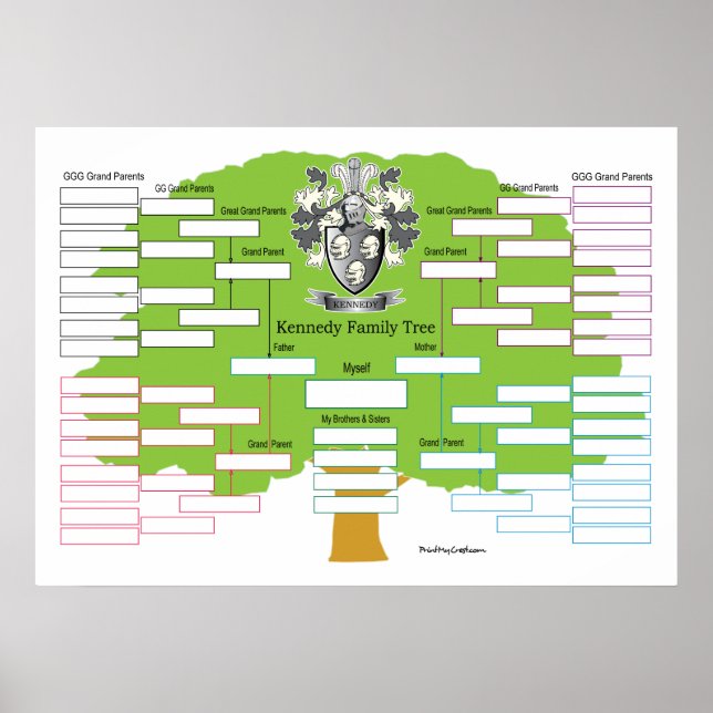 Póster Kennedy-Family-Tree-I (Frente)