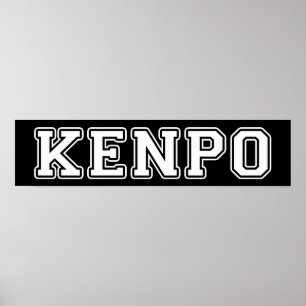 Póster Kenpo