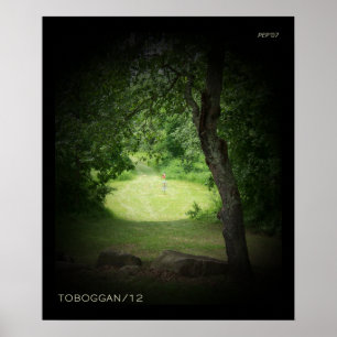 Póster Kensington Toboggan #12