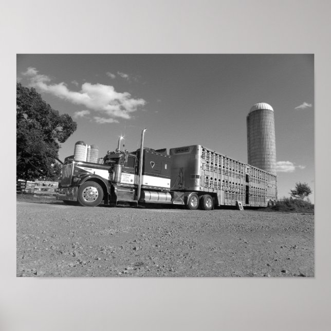 Póster Kenworth A Model Livestock Hauler (blanco y negro) (Frente)
