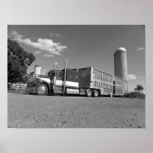 Póster Kenworth un transportista modelo del ganado (negro