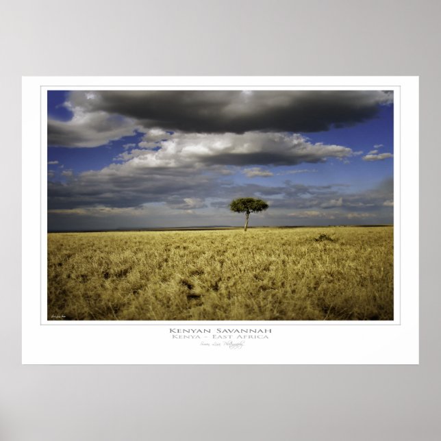 Póster Kenyan Savannah Print (Frente)