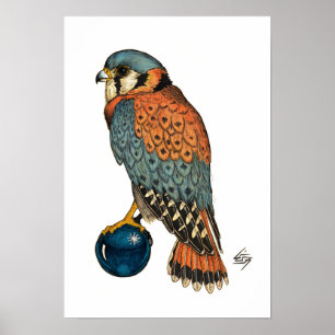 Póster Kestrel americano