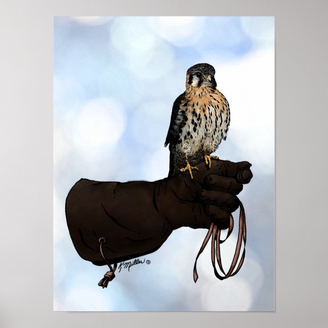 Póster Kestrel en el Ilustracion Glove (Frente)