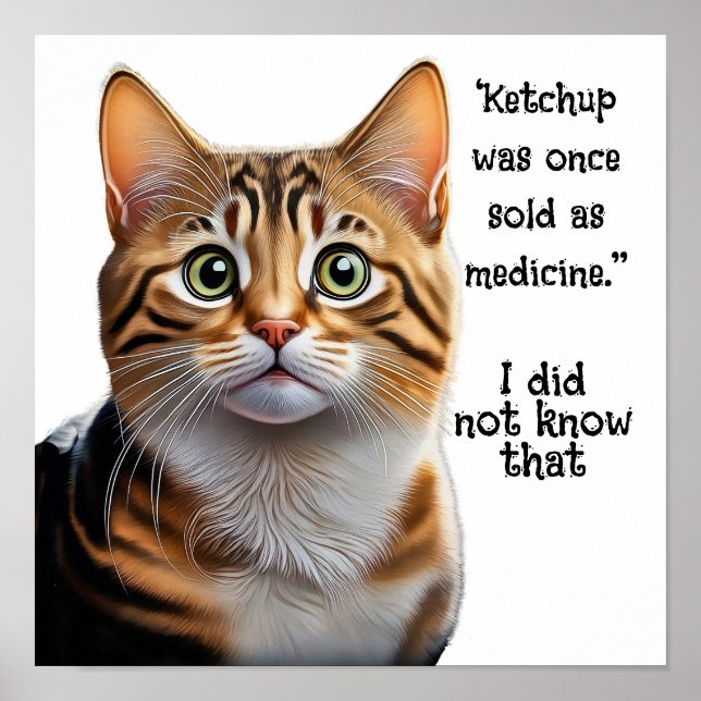 Póster Ketchup vendido como medicina (Frente)