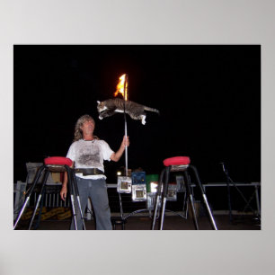 Póster Key West Cat Man