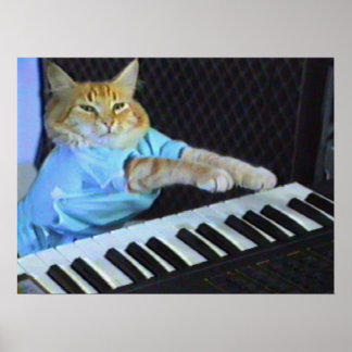Póster Keyboard Cat Wall Poster!