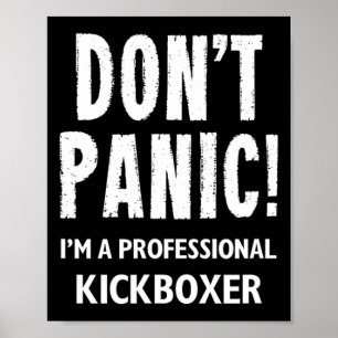 Póster Kickboxer