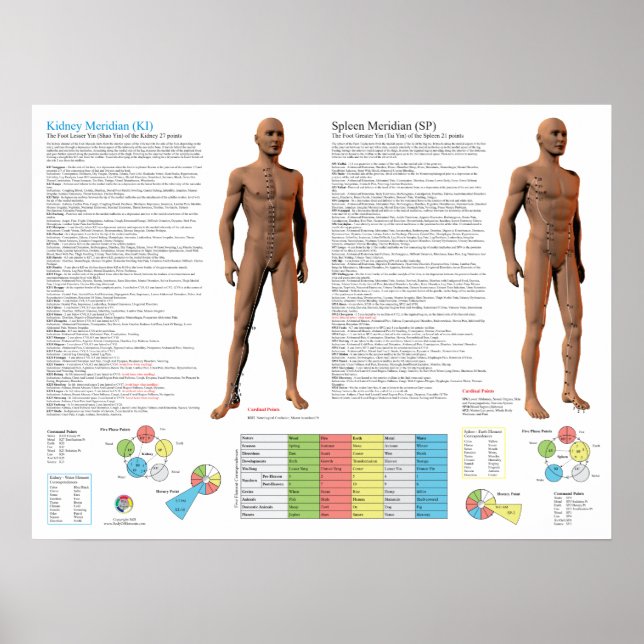 Póster Kidney Meridian Acupuncture Points (Frente)