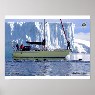 Póster Kim en Antarctique