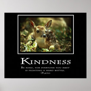 Póster Kindness