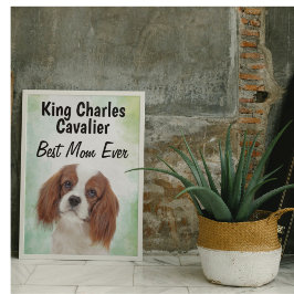 Póster King Charles Cavalier Mejor Poster de Mamá