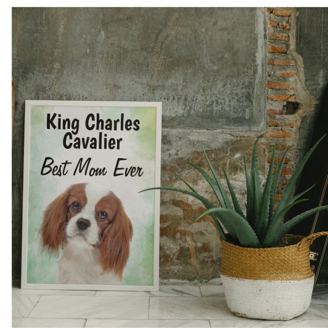 Póster King Charles Cavalier Mejor Poster de Mamá (Subido por el creador)