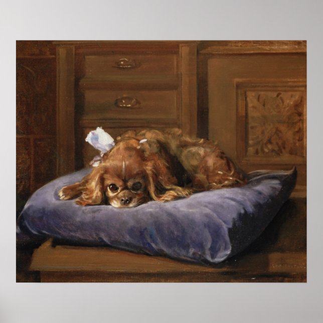 Póster King Charles Spaniel (Frente)