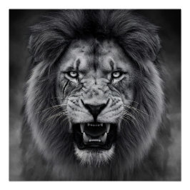 Póster King of the Jungle