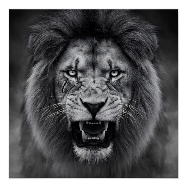 Póster King of the Jungle (Anverso)