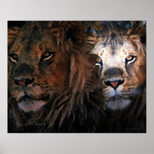 Póster King of the Jungle