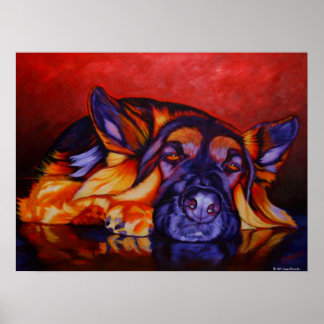 Póster King Shepherd Poster