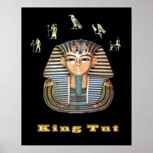 Póster king tut art poster