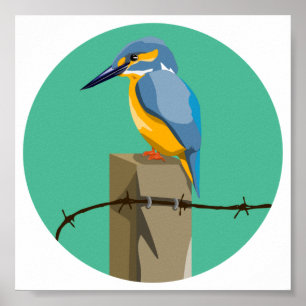 Póster Kingfisher