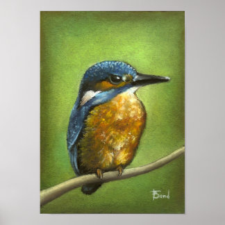 Póster Kingfisher