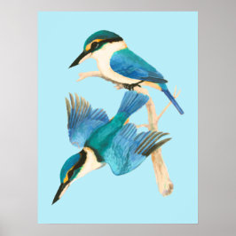 Póster Kingfisher Birds Blue Watercolor