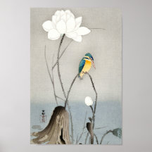 Kingfisher con Flor Lotus - Ohara Koson - 12