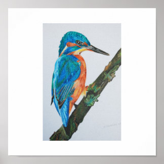Póster Kingfisher Print - choose your paper and frame!