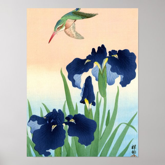 Póster Kingfisher sobre Irises, 1926 por Ohara Koson (Frente)