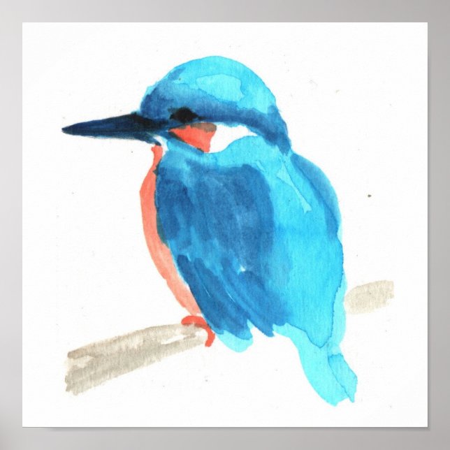 Póster Kingfisher watercolor painting square poster (Frente)