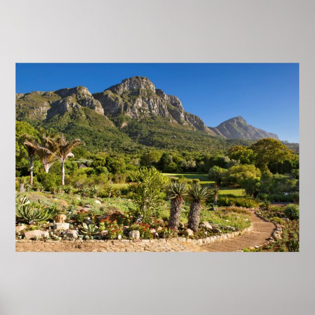Póster Kirstenbosch Botanic Gardens, Cape Town (Frente)