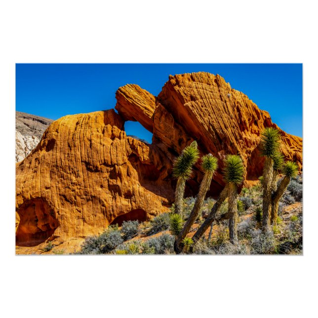 Póster Kissing Turtle Rock Glossy (Anverso)