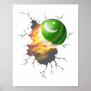 Póster Kit de seguidores de críquet pakistaní Regalo Paki
