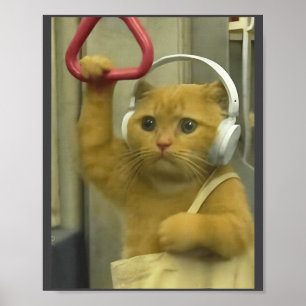 Póster Kit divertido de meme de gato de metro cerebro pod