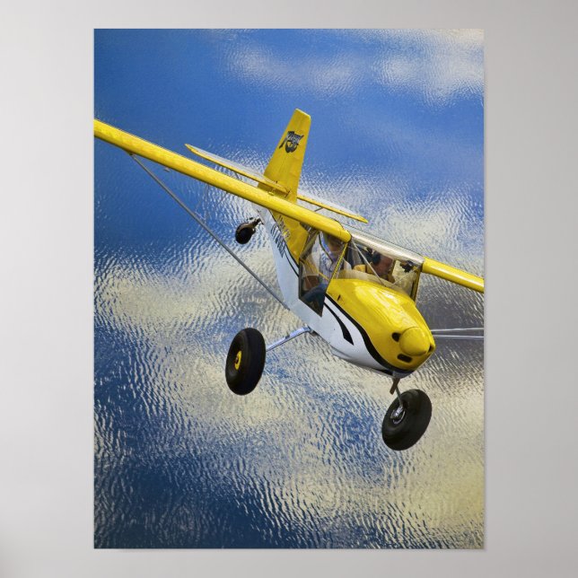 Póster Kitfox sobre el lago (Frente)