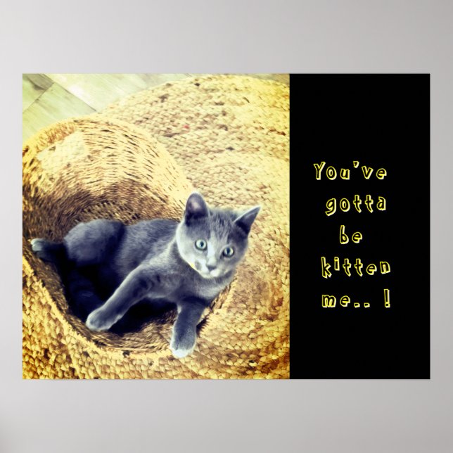 Póster Kitten  (Frente)