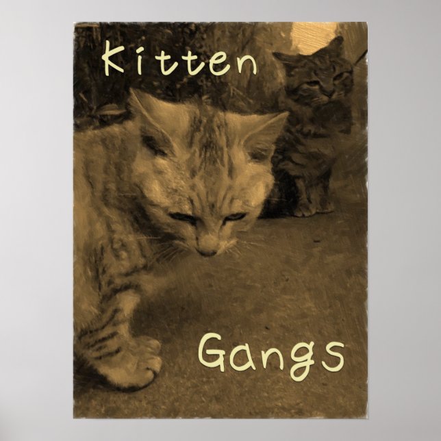 Póster Kitten Gangs (Frente)