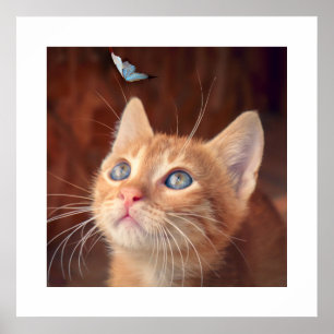 Póster Kitten Poster