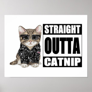 Póster Kitten Straight Outta Catnip