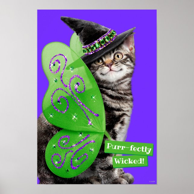 Póster Kitten Witch Fairy (Frente)
