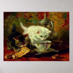 Póster Kittens Tea Fiesta