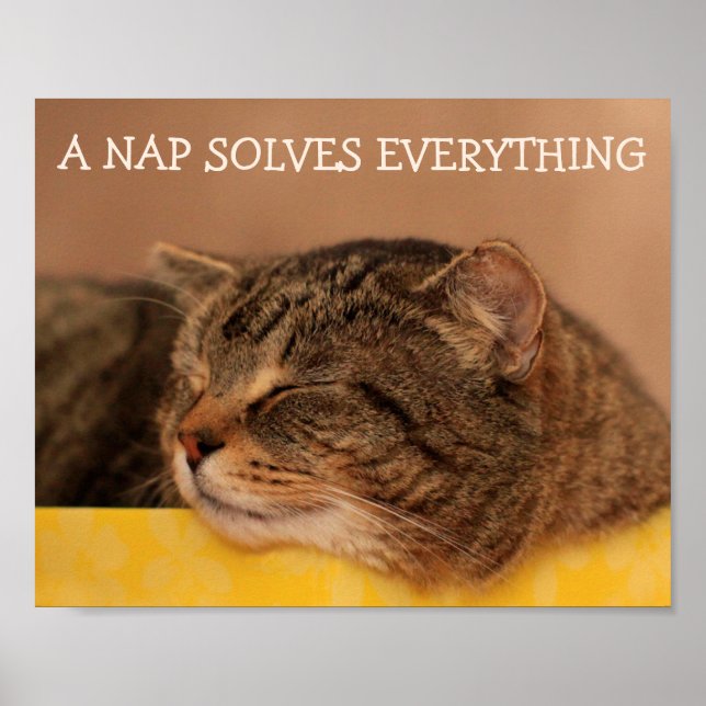 Póster Kitty Advice Inspirador (Frente)