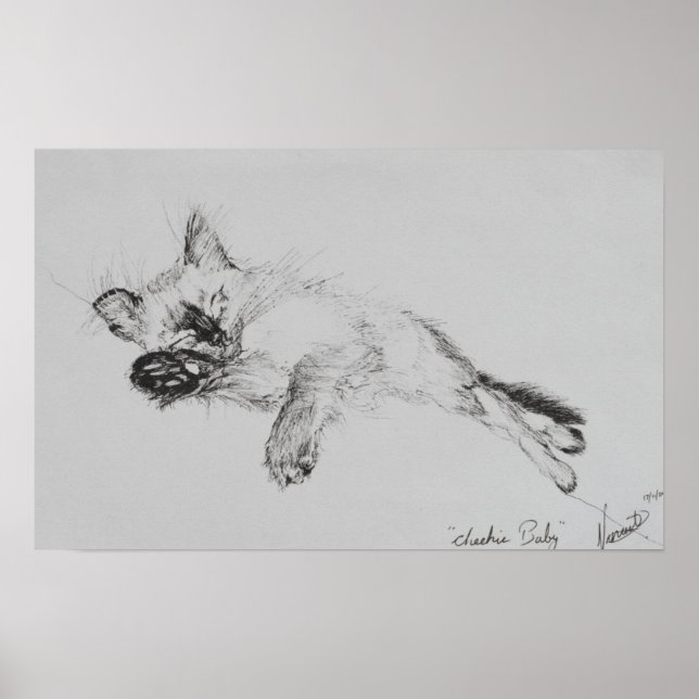 Póster Kitty "Baby" (Frente)