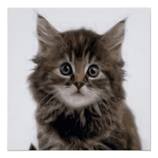PÓSTER KITTY CAT (Anverso)