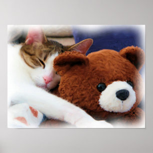 Póster Kitty con Teddy Bear Print