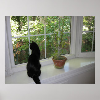 Póster Kitty en la ventana